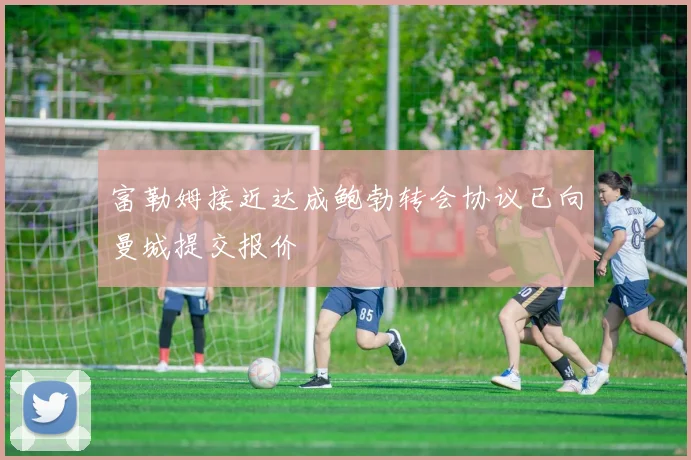 富勒姆接近达成鲍勃转会协议已向曼城提交报价