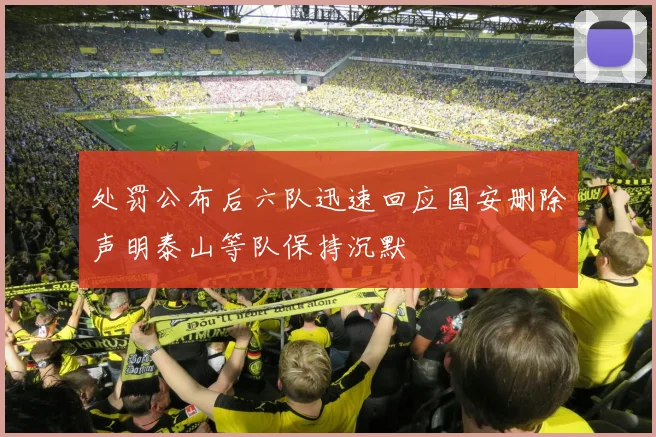 处罚公布后六队迅速回应国安删除声明泰山等队保持沉默